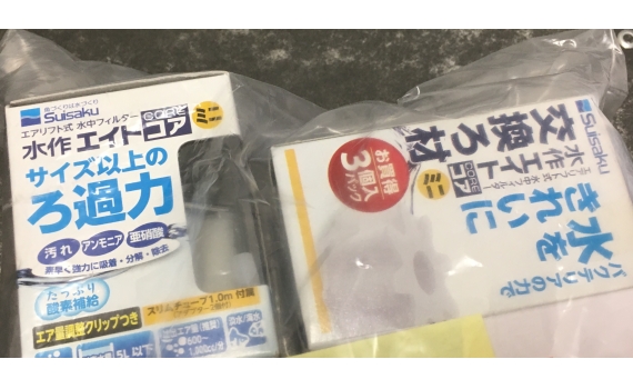 魚樂無窮