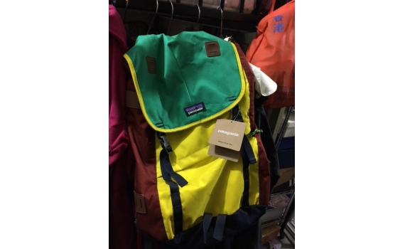 Patagonia Arbor Backpack 