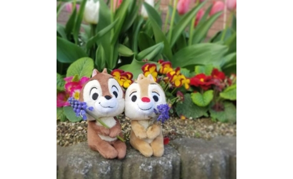 Chokkorisan 公仔 @ Disney Japan