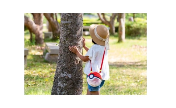 Pokémon 高人氣「寶貝球系列」推出第四彈