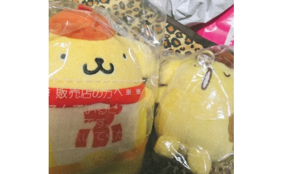 Sanrio 布甸狗